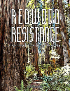Redwood Resistance (2022-2023)